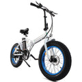 Fat Tire Electric Bike 20" Folding Bicycle 500W 36V Pedal Assist Electric Bicycle V901820