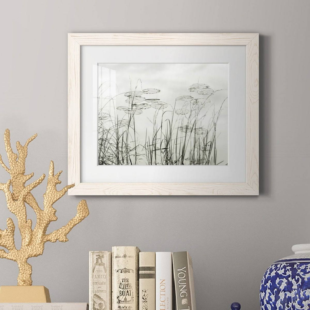 Maple Framed Print J911942