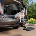Dog Hitch Step for 2 Inch Vehicle Hitch, Folds Down, Supports Pets up to 200 lb O239