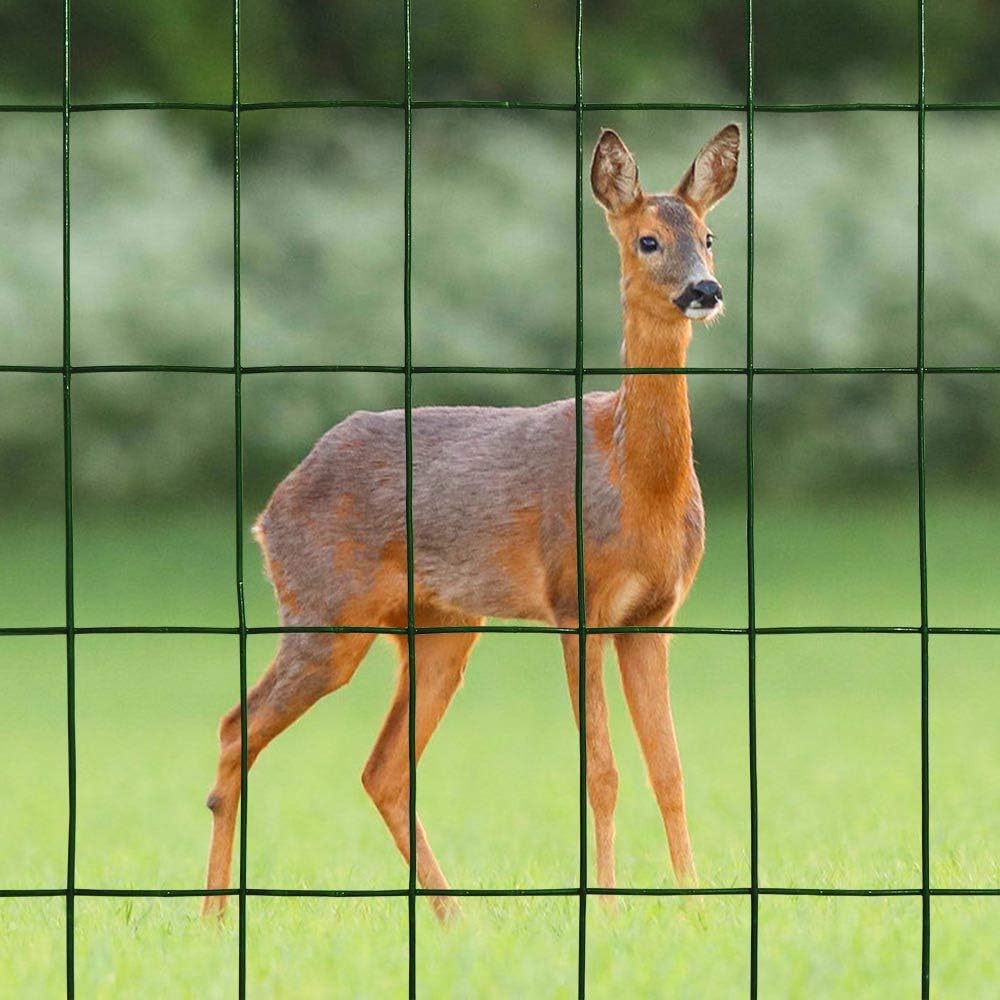 Green PVC Welded Wire Mesh Garden Fence 48" x50' 2"x3" 16GA Y902884