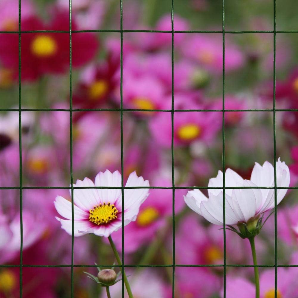 Green PVC Welded Wire Mesh Garden Fence 48" x50' 2"x3" 16GA Y902884