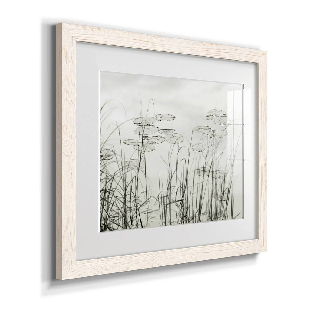 Maple Framed Print J911942