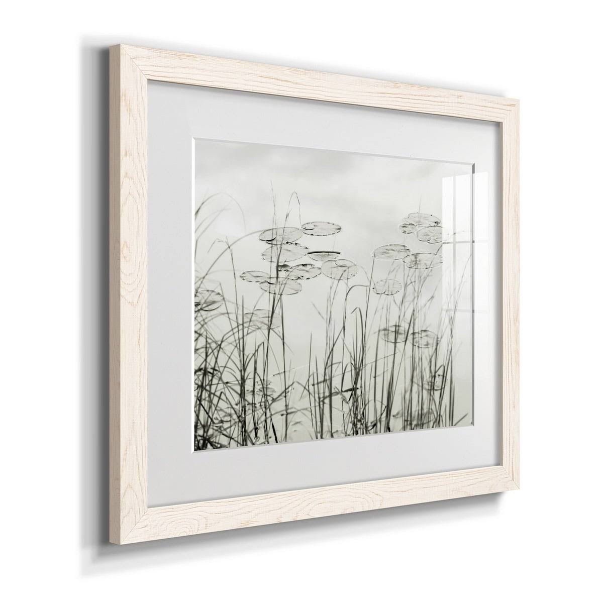 Maple Framed Print J911942