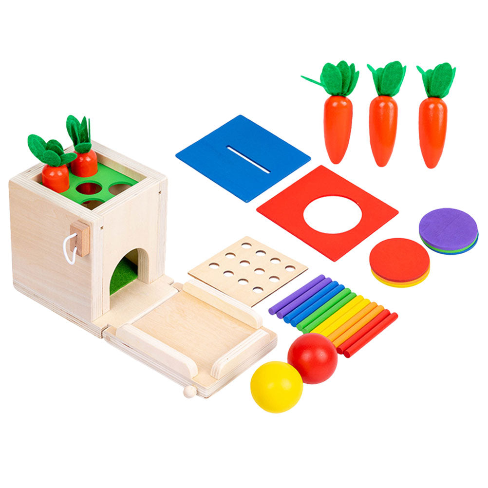 Montessori Toy Matching Toy W947