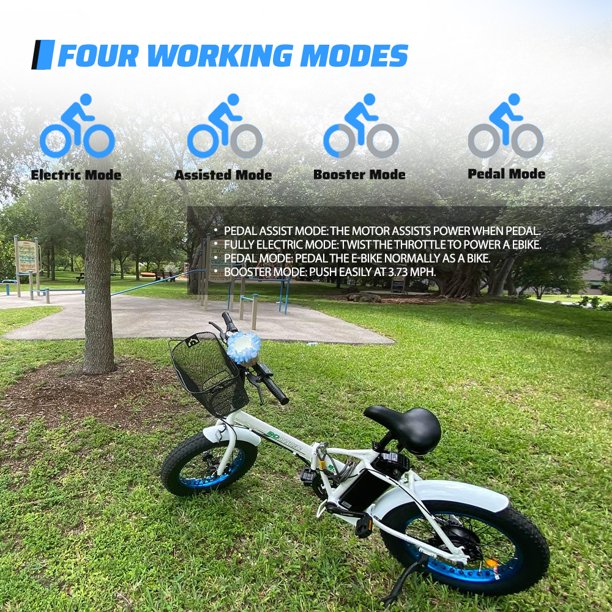 Fat Tire Electric Bike 20" Folding Bicycle 500W 36V Pedal Assist Electric Bicycle V901820