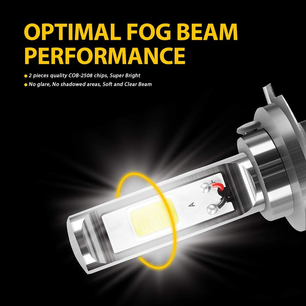 H7 LED Fog Light Bulbs 6000K Xenon White, Pack of 2 Y179327