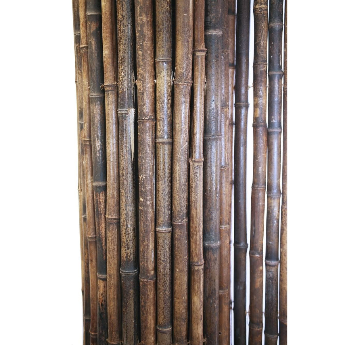 Black Rolled Bamboo Fence 6ft H x 8ft L I24287