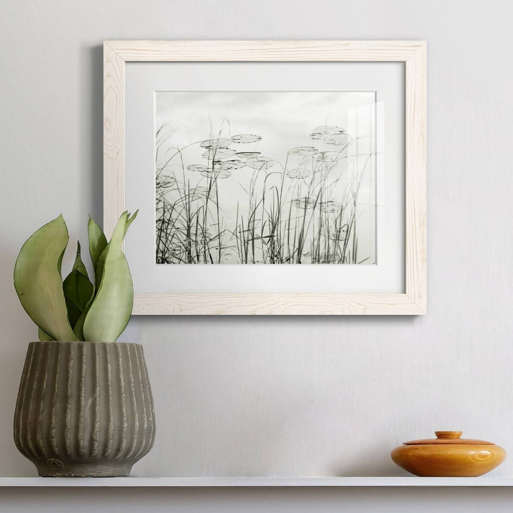 Maple Framed Print J911942