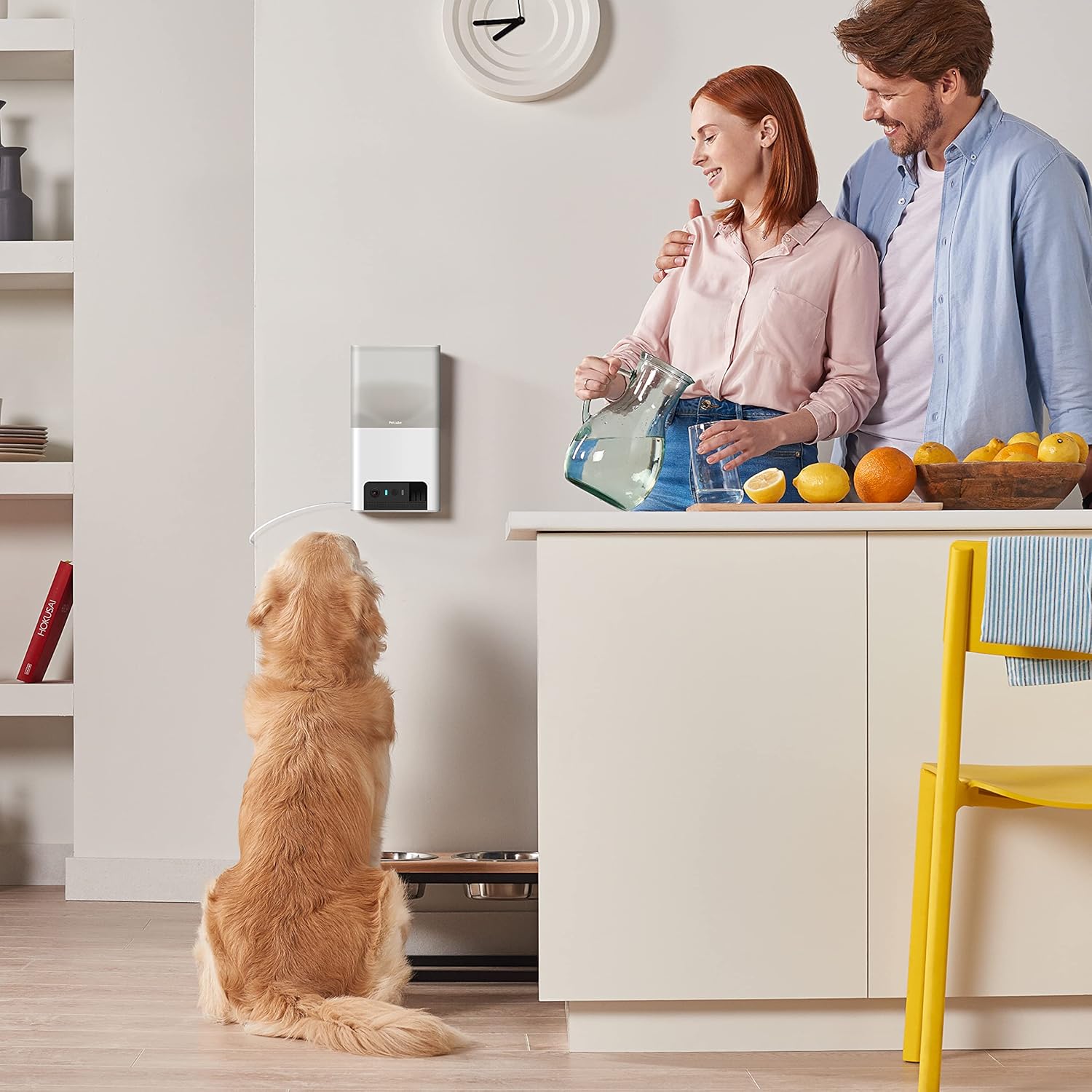 1080p HD Interactive WiFi Pet Camera with Treat Dispenser Q638