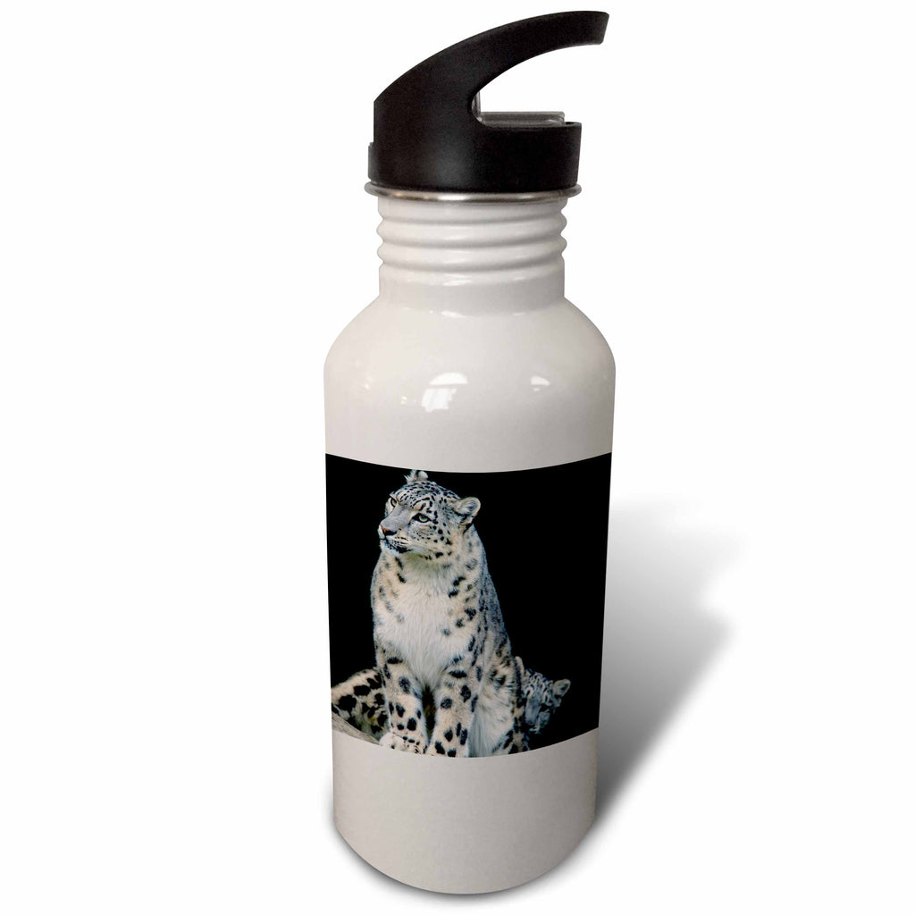 Sports Water Bottle, 21oz C65522