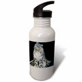 Sports Water Bottle, 21oz C65522