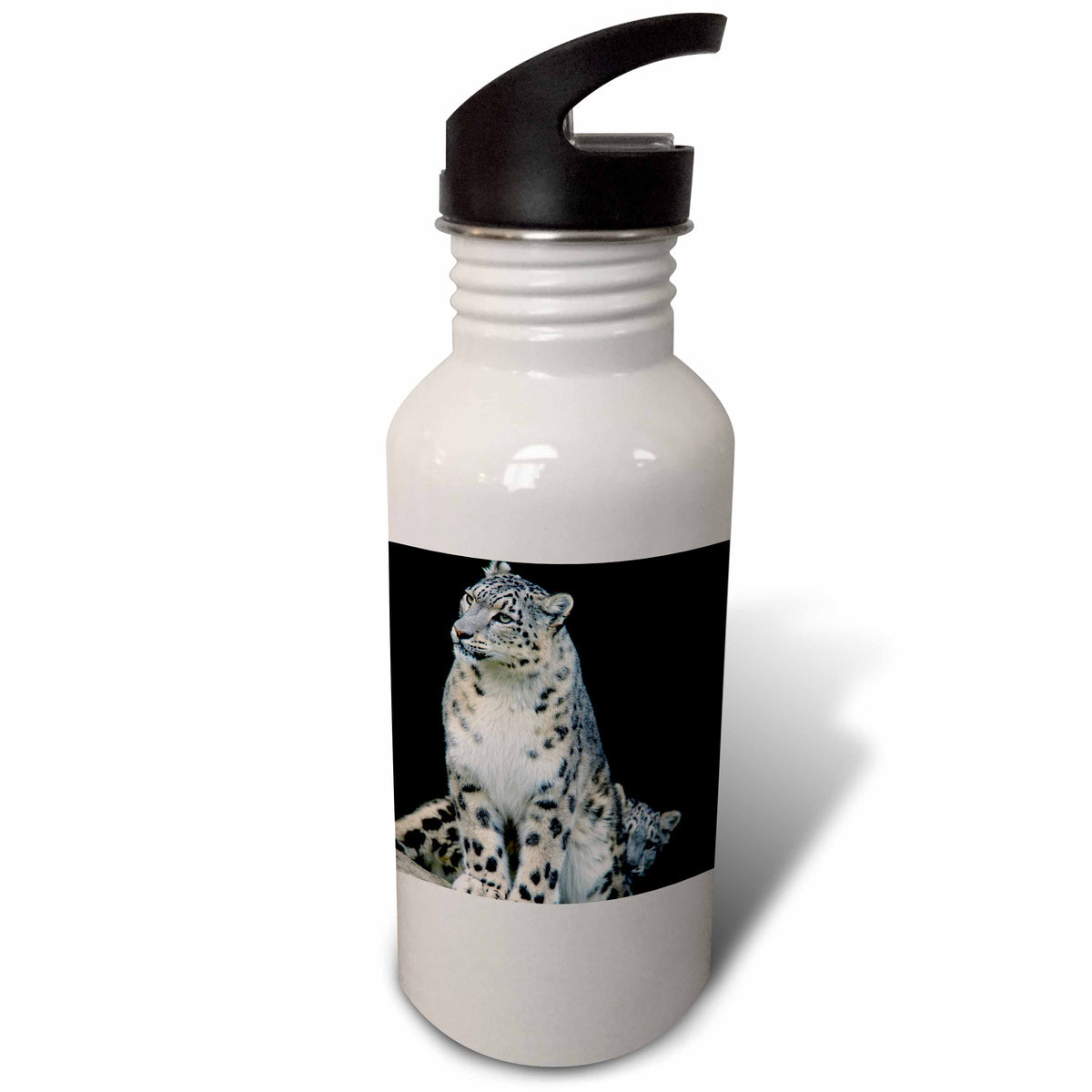 Sports Water Bottle, 21oz C65522
