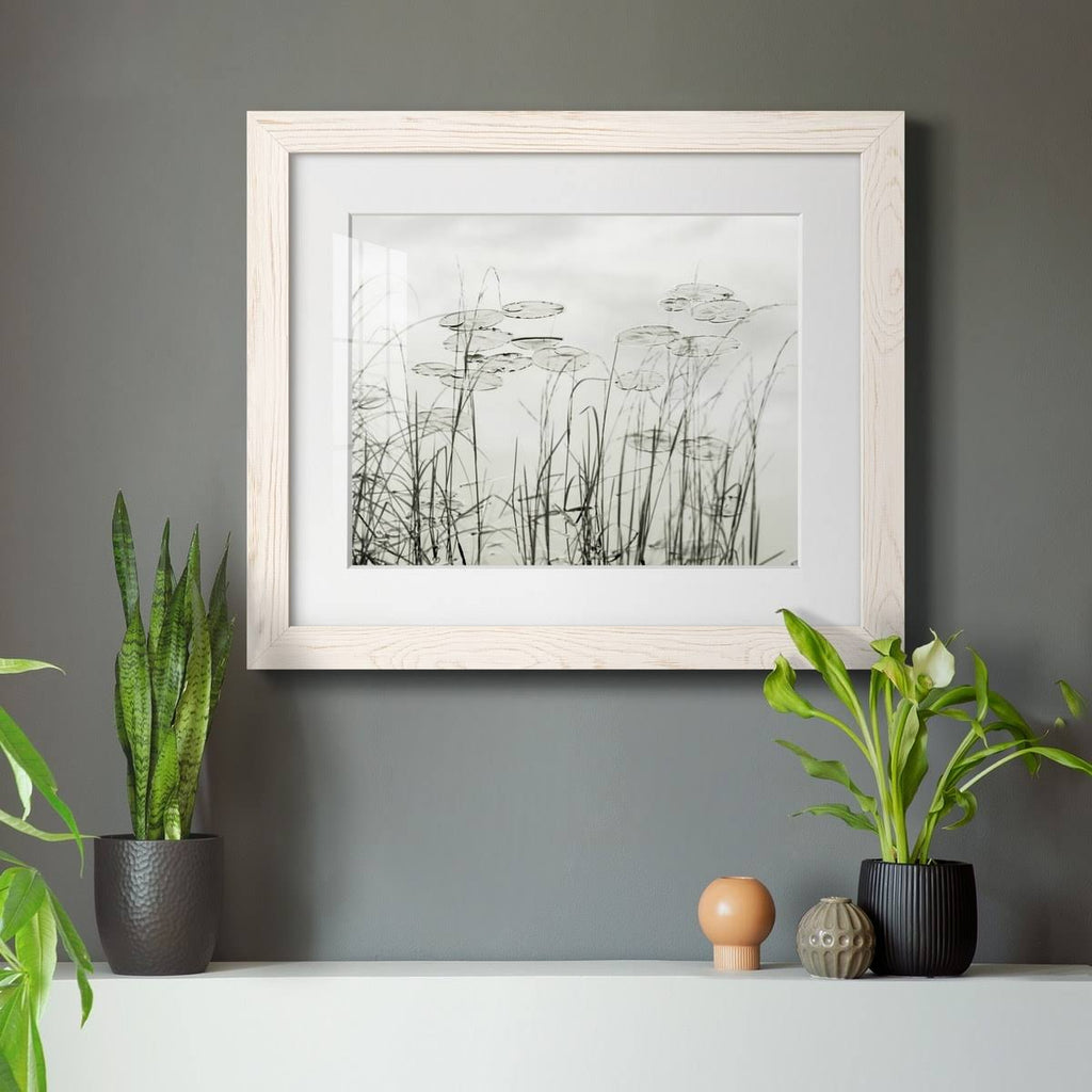 Maple Framed Print J911942