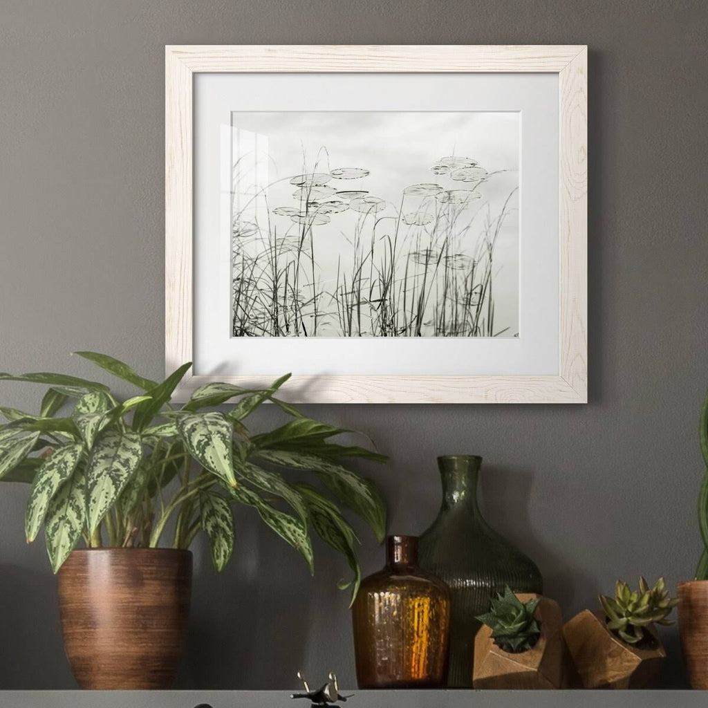 Maple Framed Print J911942