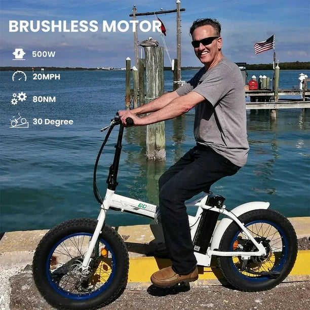 Fat Tire Electric Bike 20" Folding Bicycle 500W 36V Pedal Assist Electric Bicycle V901820
