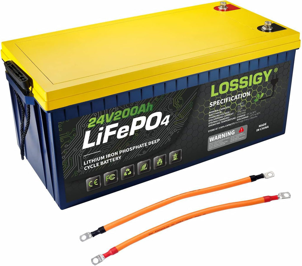 LiFePO4 Battery 12V 200Ah Deep Cycle Lithium Ion Battery with 100A BMS S47886