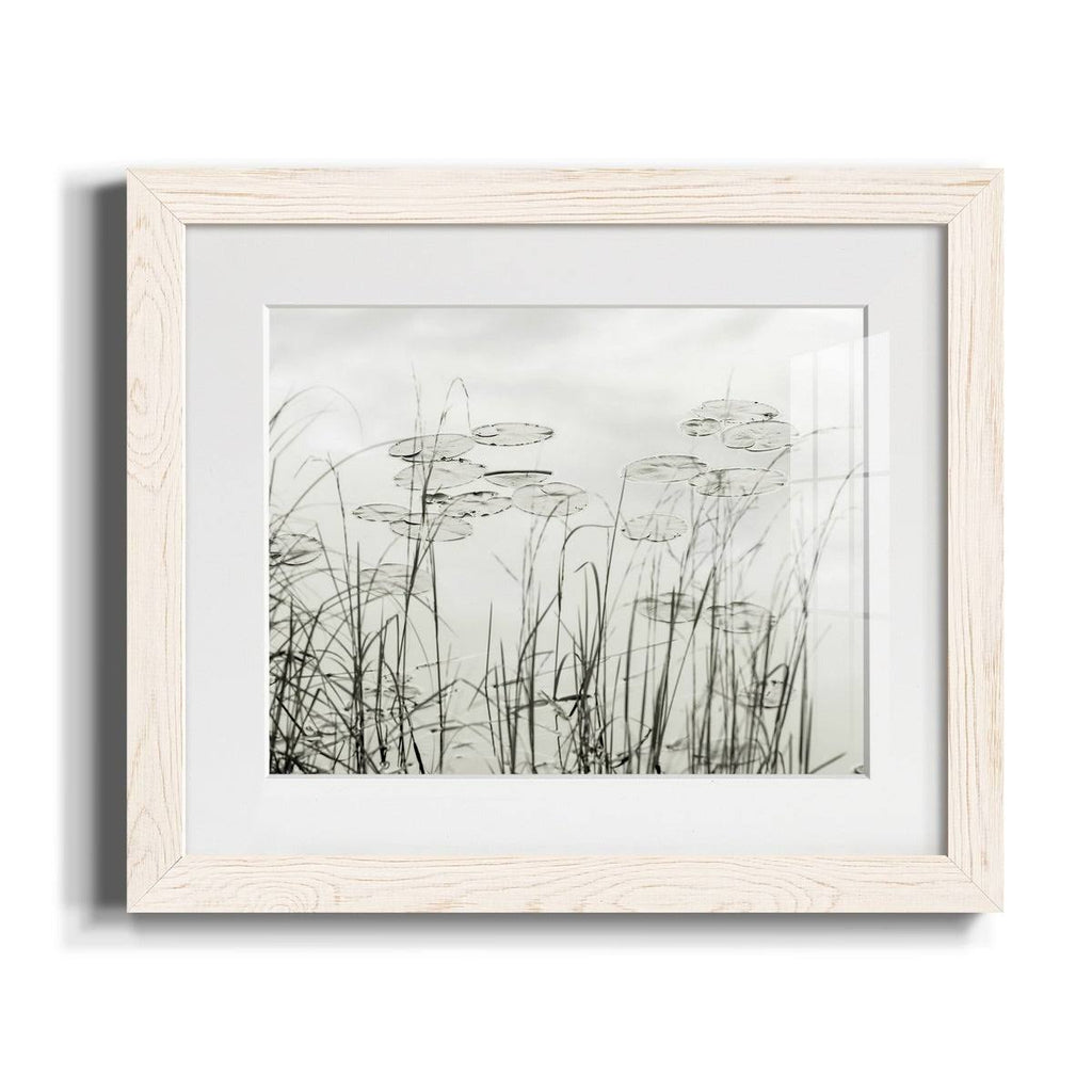 Maple Framed Print J911942