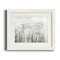 Maple Framed Print J911942