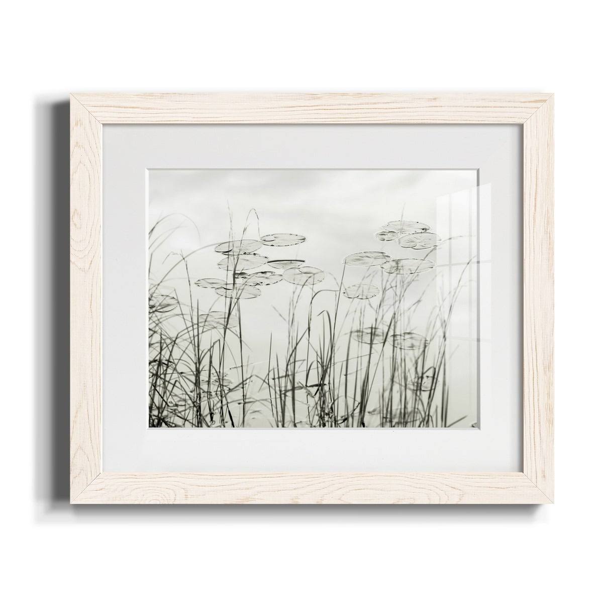 Maple Framed Print J911942