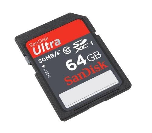 64 GB SDXC Flash Memory Card W622