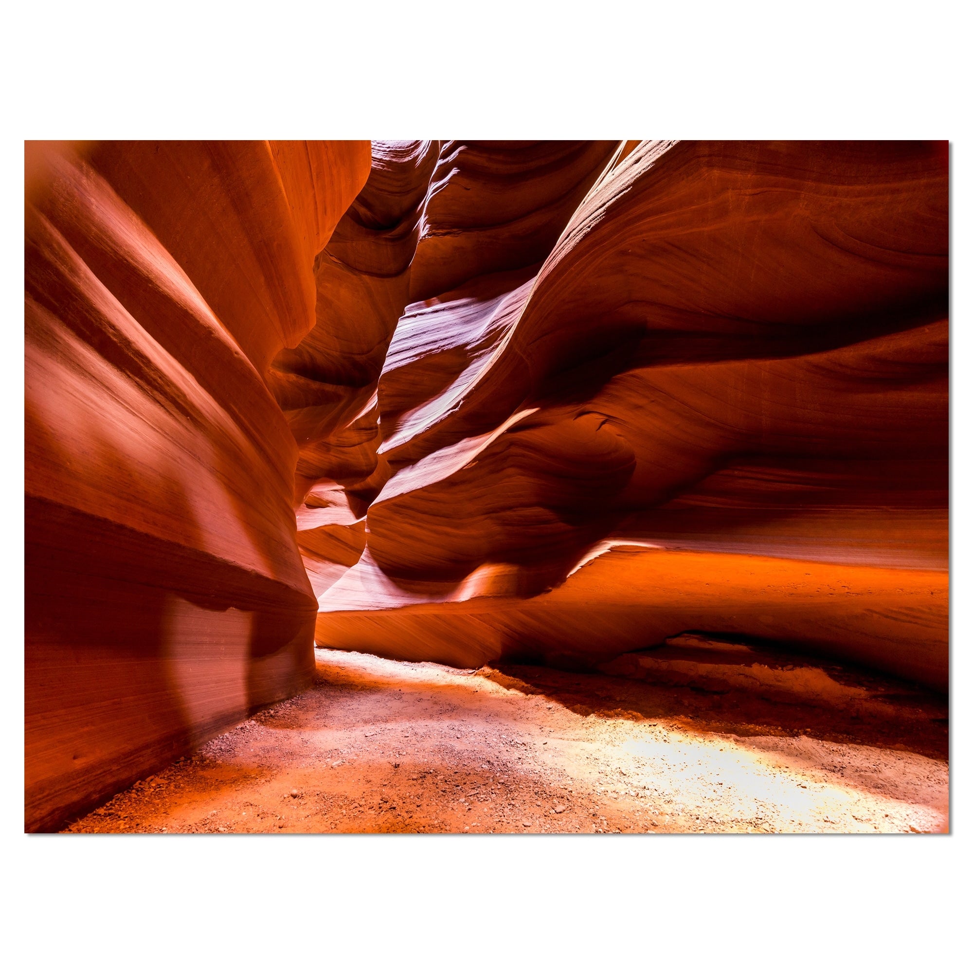 4 Piece Photographic Print on Wrapped Canvas Set F88065