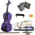 3/4 Solid Wood Violin L831545