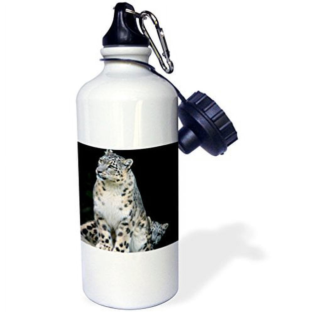 Sports Water Bottle, 21oz C65522