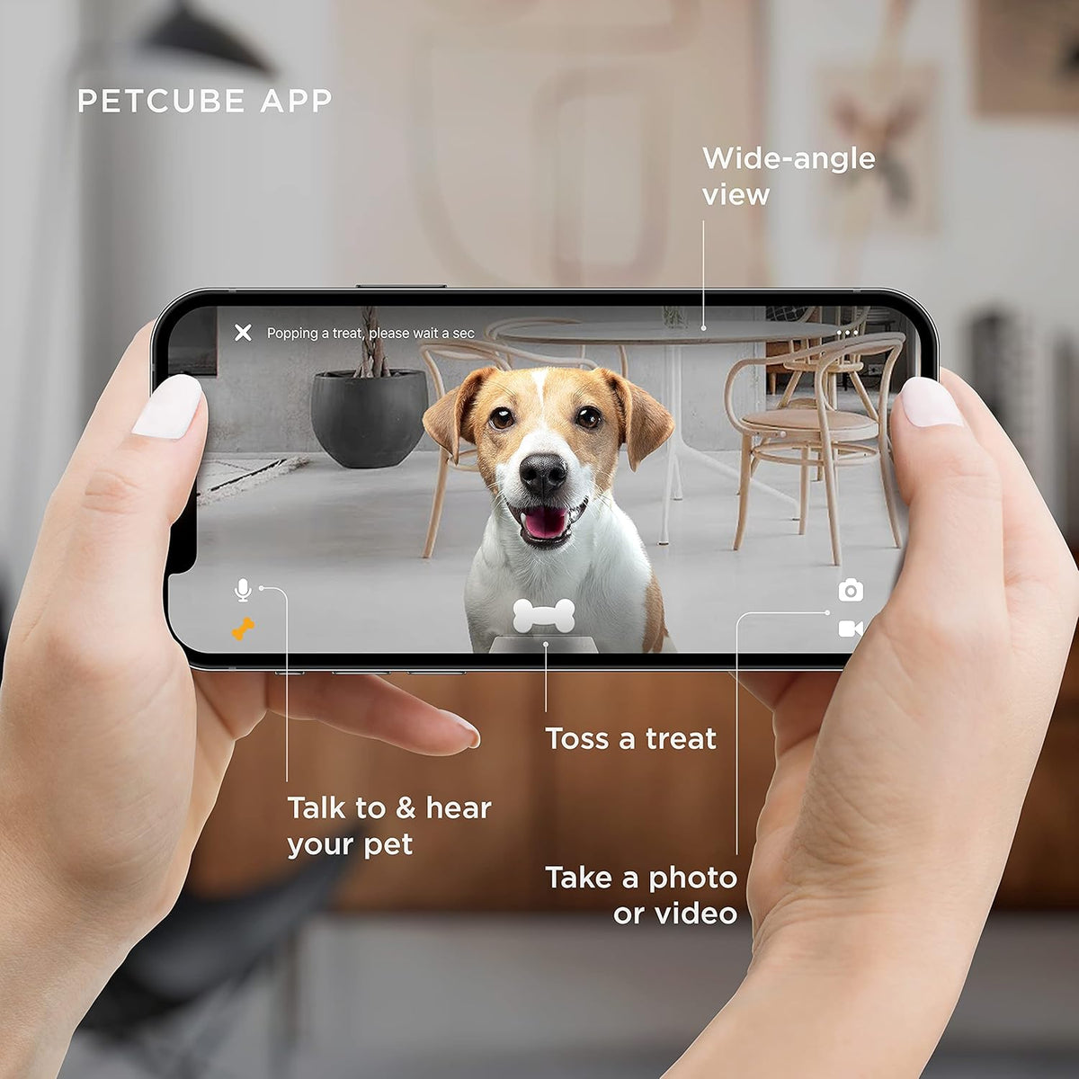 1080p HD Interactive WiFi Pet Camera with Treat Dispenser Q638