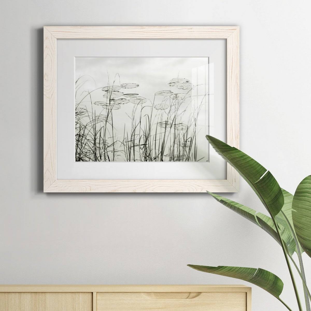 Maple Framed Print J911942