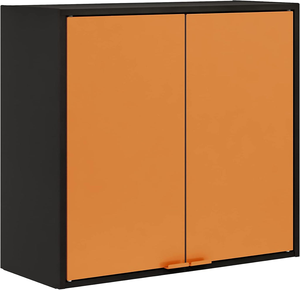 Blue Steel Wall Cabinet Y8606