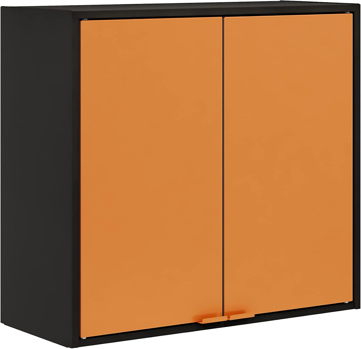 Blue Steel Wall Cabinet Y8606