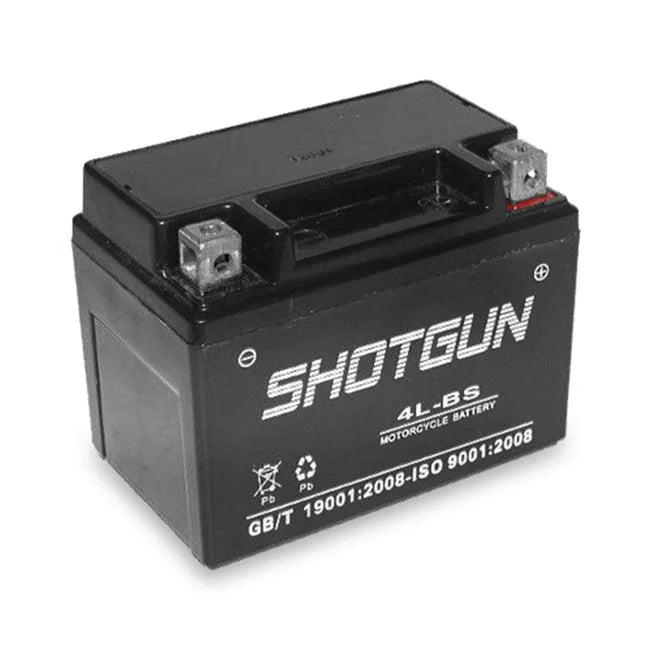 AGM Scooter Battery E8698