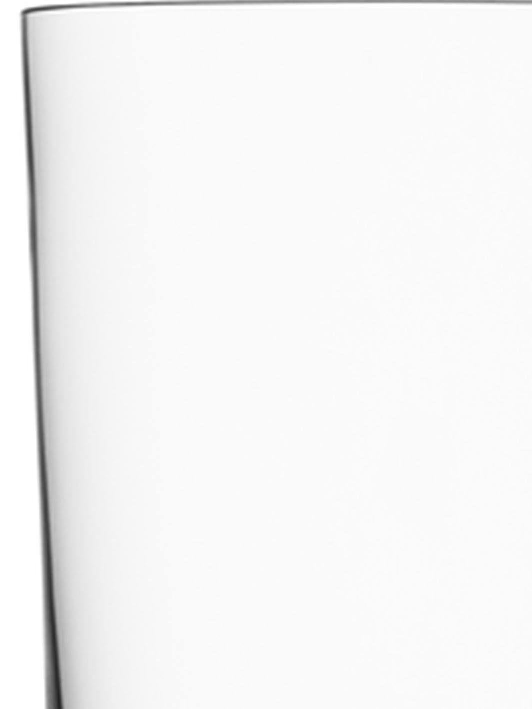 Tumbler Set of 2 Y667