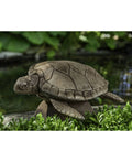 Large Sea Turtle Campania International Color: Ferro Rustico Nuovo P3622