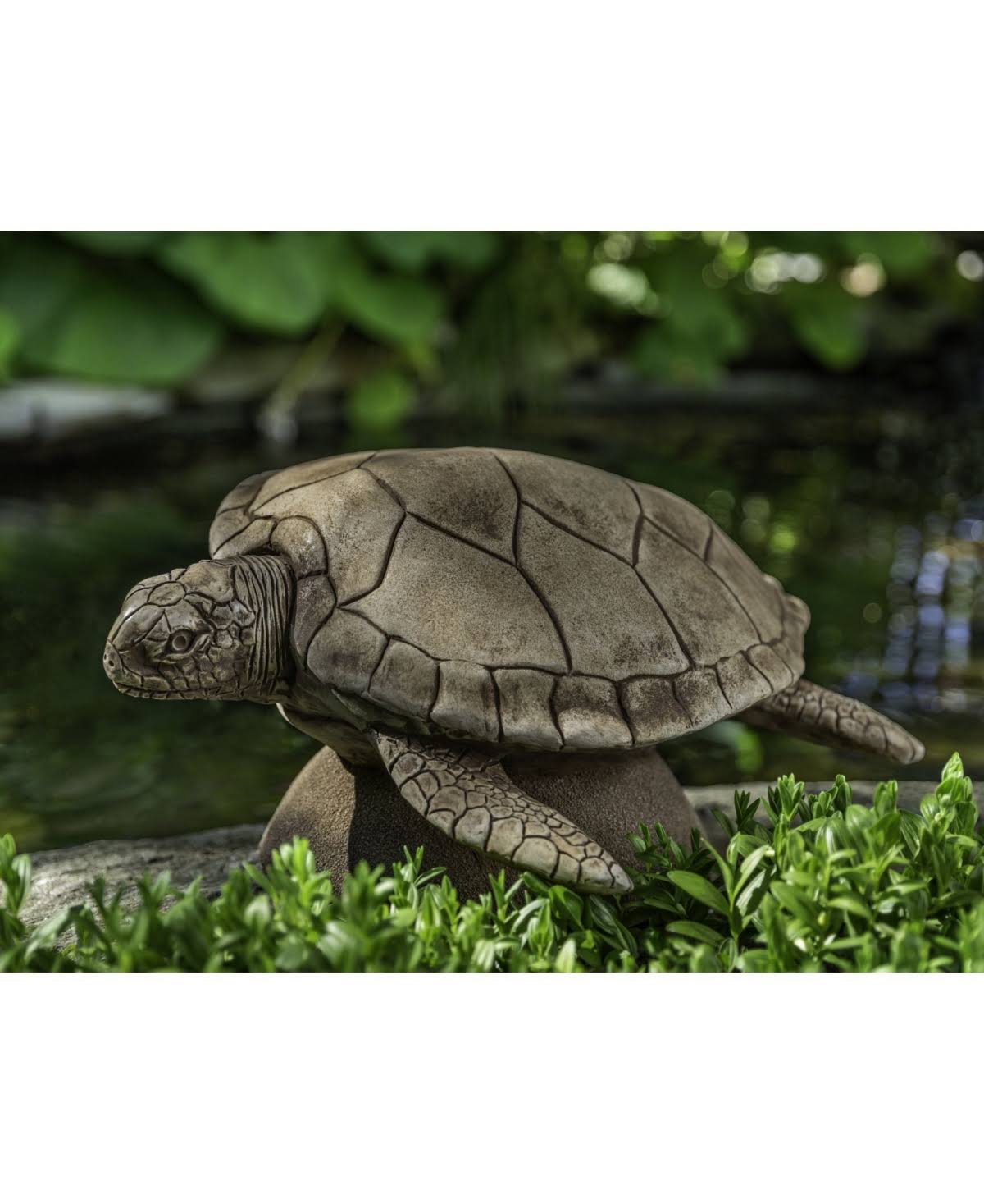 Large Sea Turtle Campania International Color: Ferro Rustico Nuovo P3622