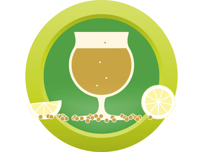 Saison Belgian Ale All Grain C9355