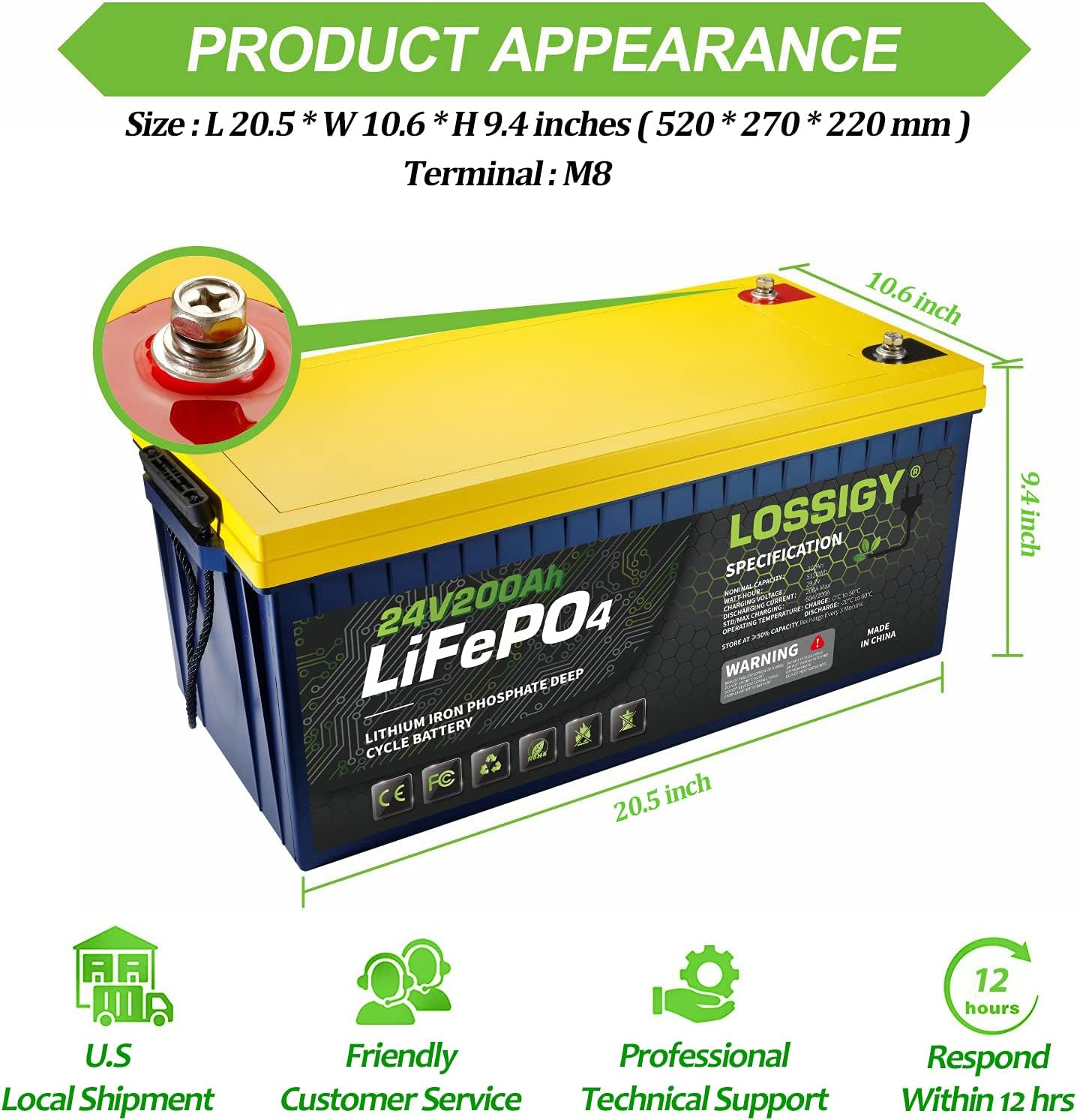 LiFePO4 Battery 12V 200Ah Deep Cycle Lithium Ion Battery with 100A BMS S47886