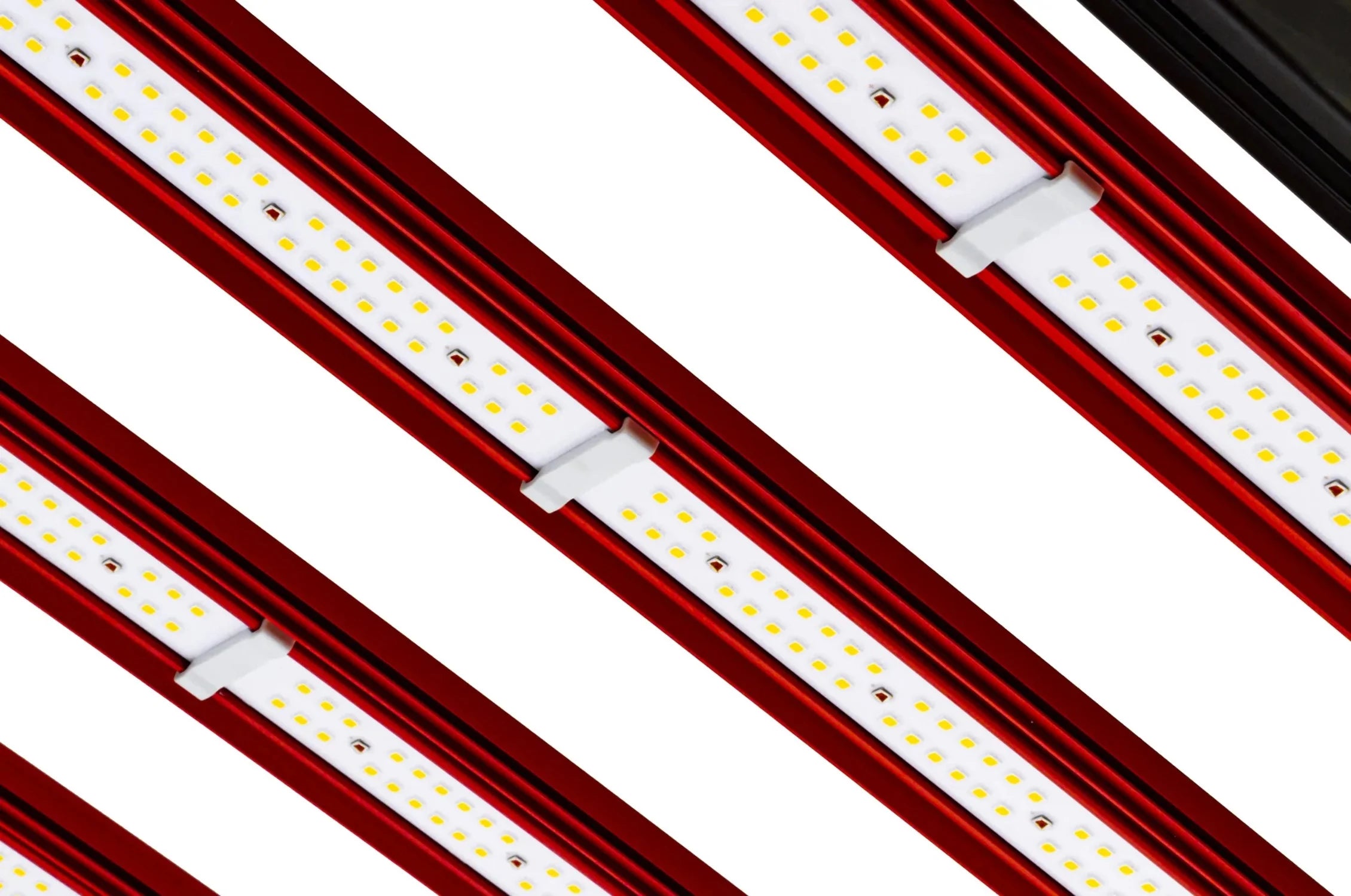 CO2 Pro LED 1000W N96070